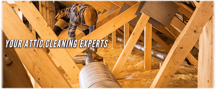 Attic Cleaning Frederick